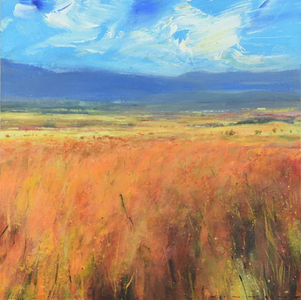 Fields Of Gold by Andrew Kinmont