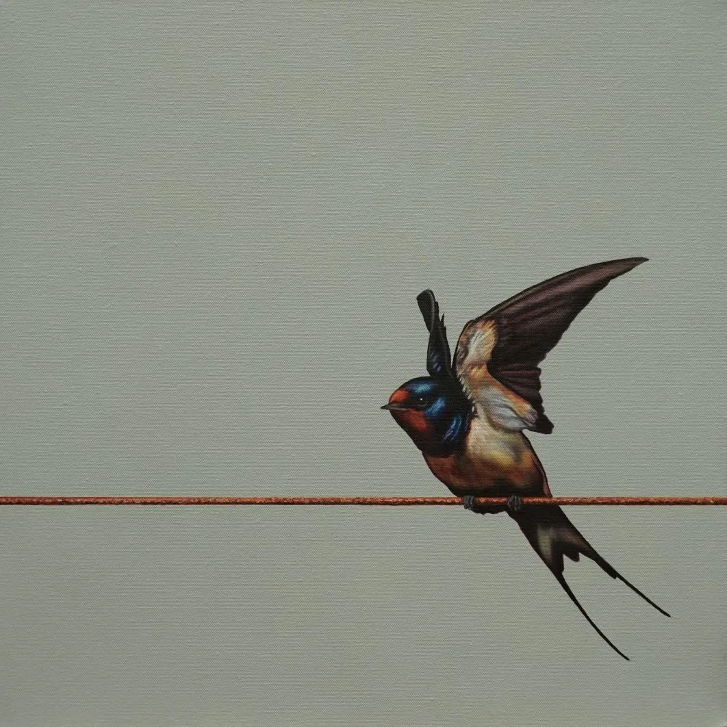 Volant by Mike Ellis