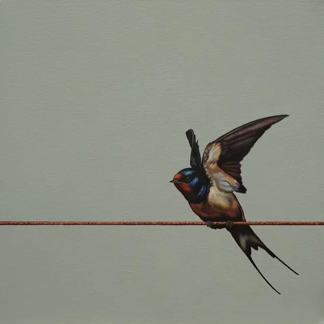 Volant by Mike Ellis