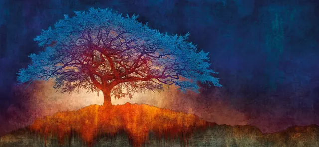 Embracing Twilight (N51.9825 W1.7164) by Mark Munroe Preston by Mark Munroe - Preston