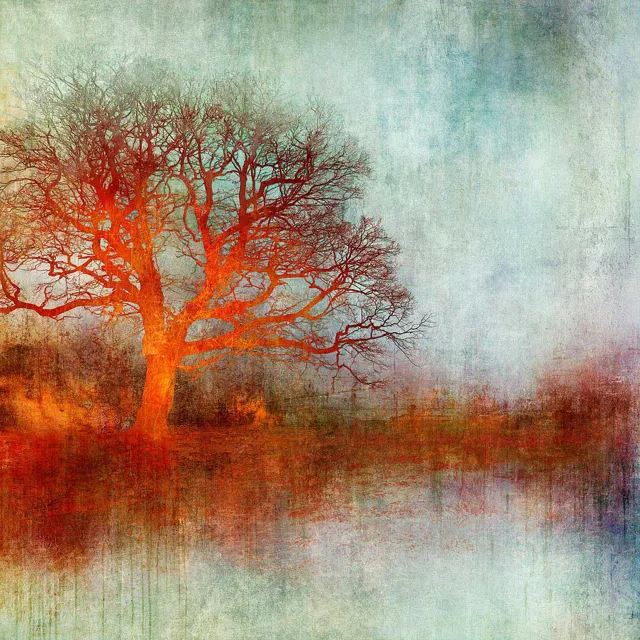 First Light by Mark Munroe Preston by Mark Munroe - Preston