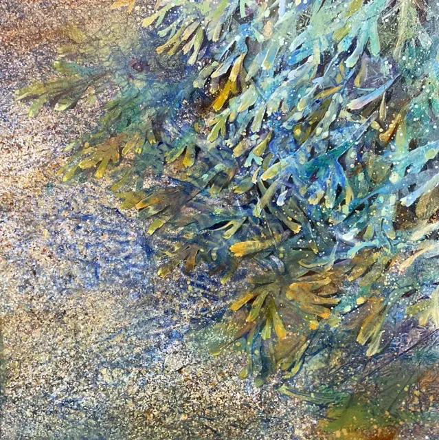 Sea Wrack by Lorna Kirin
