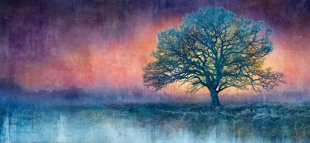 Dawn’s Calling (N50.9732 W0.3453) by Mark Munroe-Preston by Mark Munroe - Preston