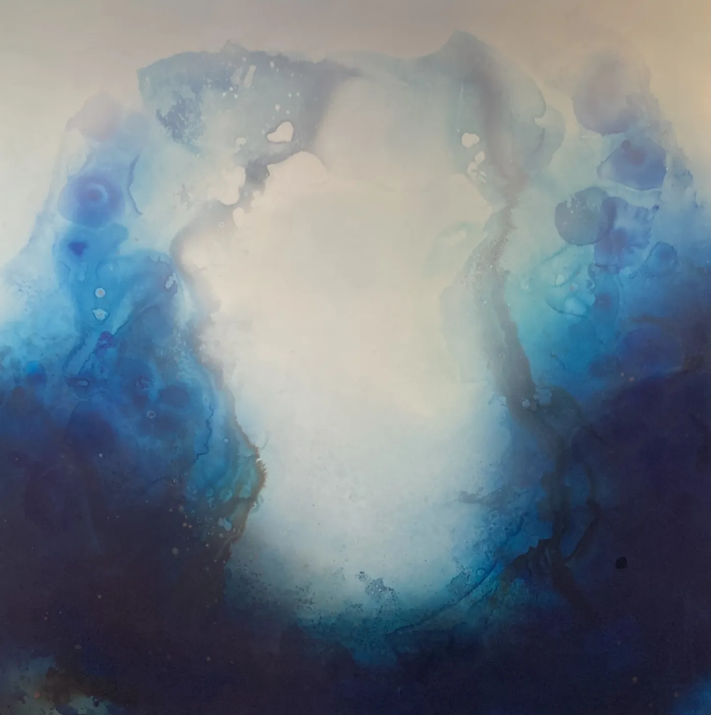 Shallows by Megan Yelets