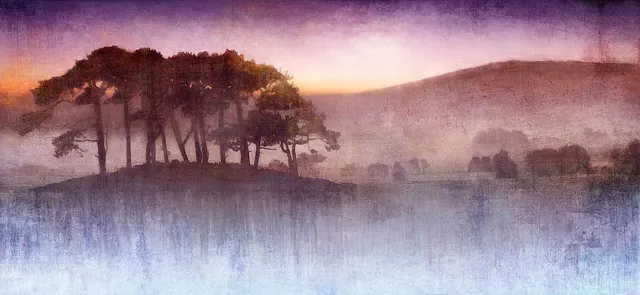 Lilac Dusk by Mark Munroe Preston by Mark Munroe - Preston