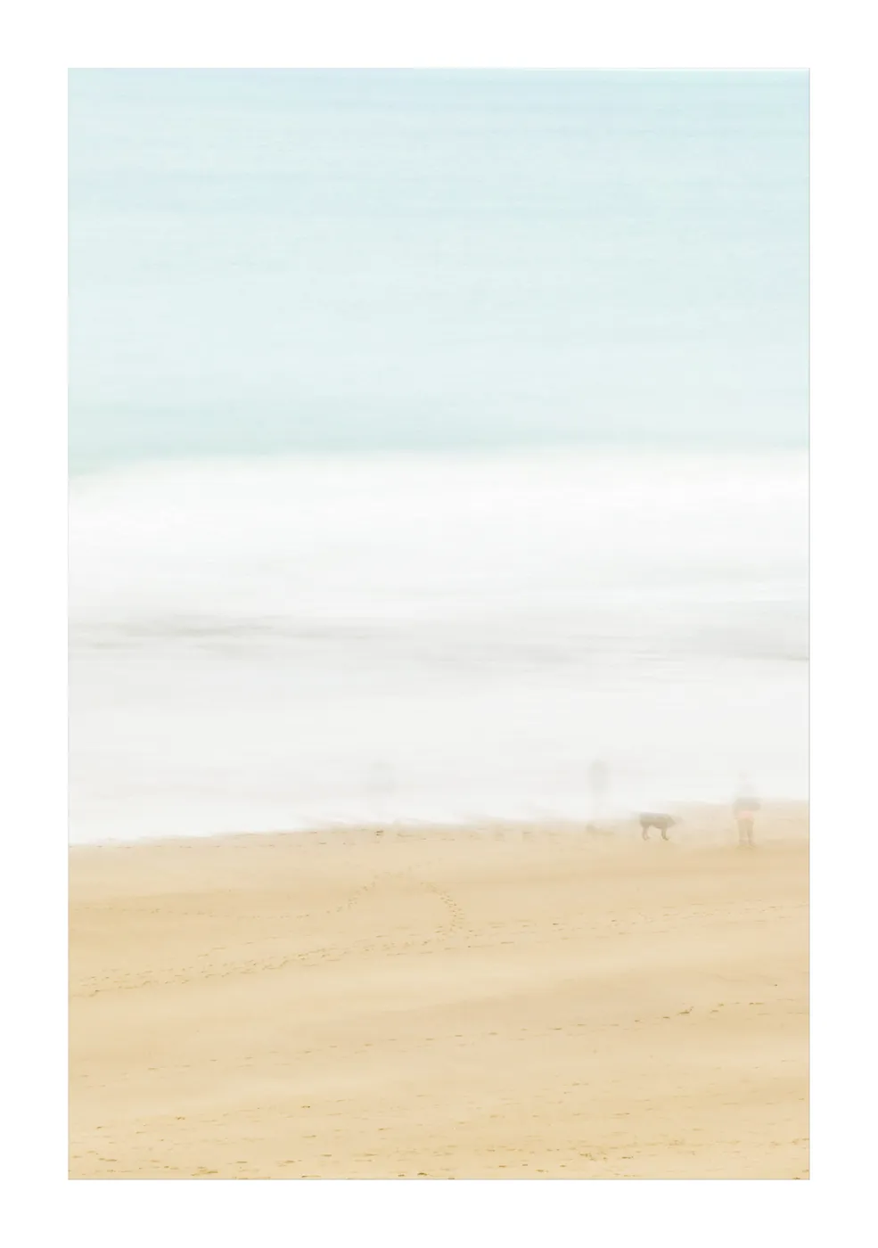 Dog Three by Sandy Steele-Perkins