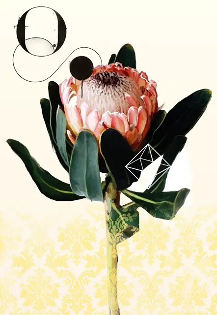 Flower by Chris Arran